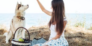 Husky-Training-General-Tips Husky-Training-General-Tips