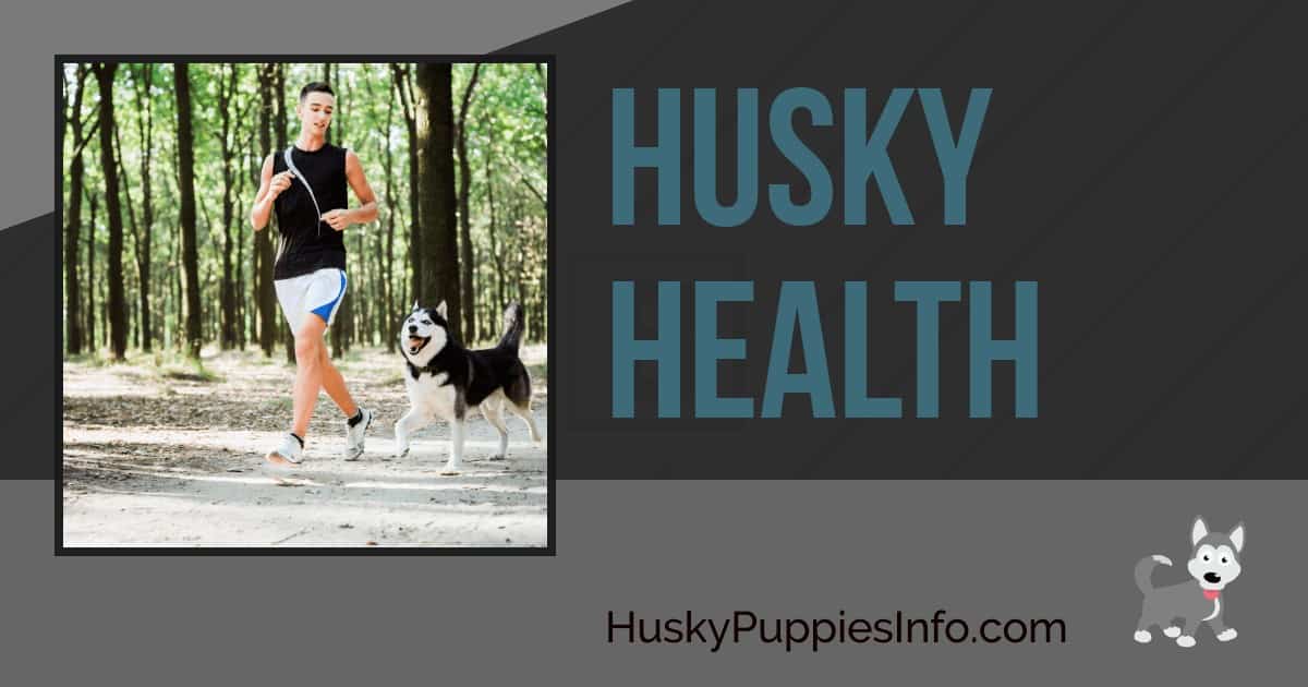 Husky Health Husky Health